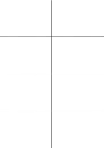 [800412] Einschieb-Karton f. Energielabel-Schutzhüllen | auf DIN A 4 Bogen, perforiert auf  (52*98 mm)